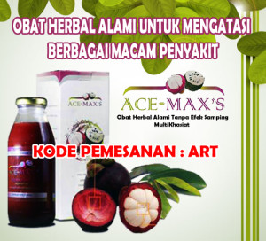 ACE MAX copy