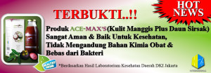 ace-maxs